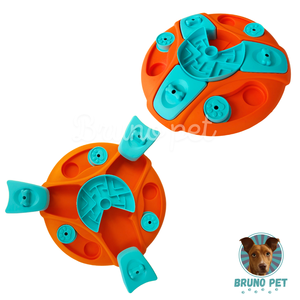 Boomerang interactivo - nivel 3 Naranja